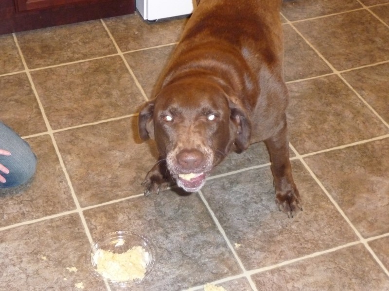 Katie eating cake.JPG